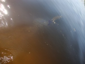 DSC05548.JPG