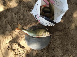 44.jpg