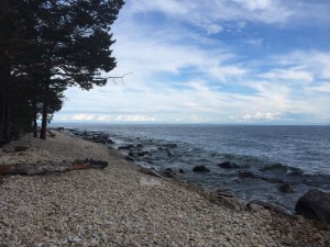 IMG_0554_1.JPG