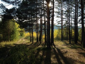 image (5).jpg