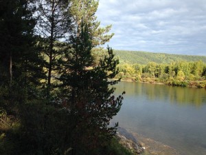 image (6).jpg