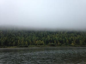image (15).jpg