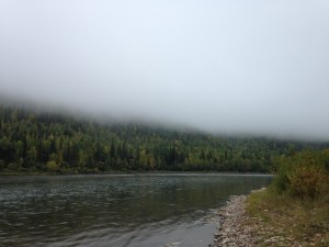 image (16).jpg