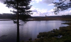 IMAG0748.jpg