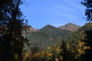DSC_0437p.JPG