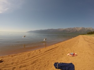 G2561849.1.jpg
