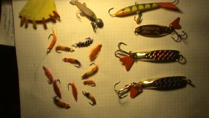 DSC01305.JPG