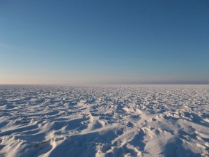100_5136.jpg