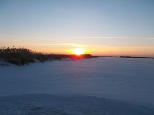 100_5141.jpg