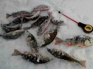 IMG_20150113_163936.jpg