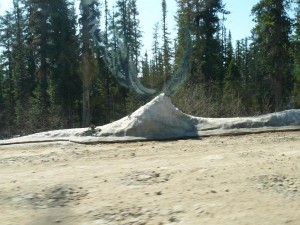 орлинга 043.jpg