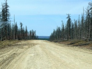 орлинга 053.jpg