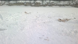 09022015639_1.jpg