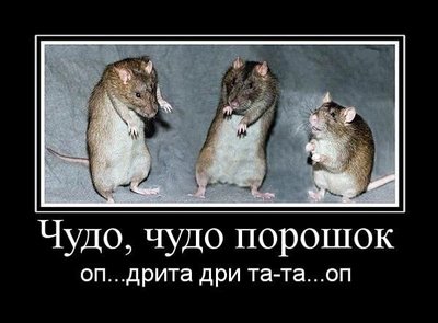 2cf07e41cb7f.jpg