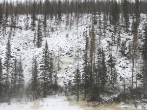 IMG_9215.jpg