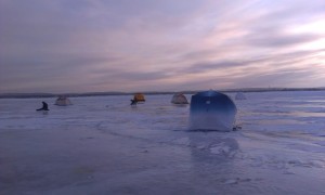 IMAG0067.jpg