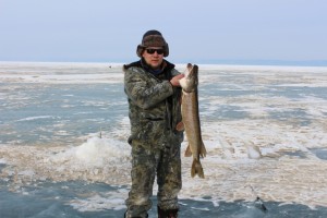 IMG_0361_761x507.jpg