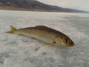 WP_0007291.jpg