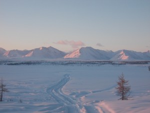 18.JPG