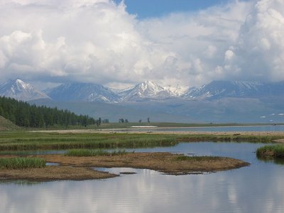 IMG_0228.jpg