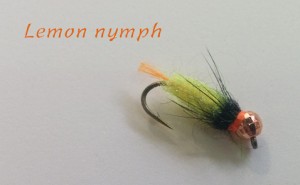 IMG_20150330.jpg
