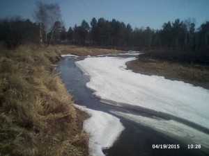 DSC_0000124(1).jpg