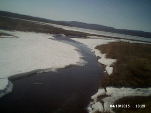 DSC_0000127(1).jpg