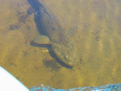 IMG_0232.jpg