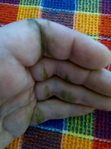 IMG_20150426_120110.jpg
