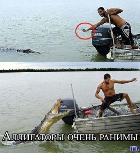 getImage (7).jpg