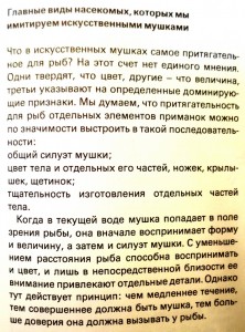 DSC01984-2.jpg