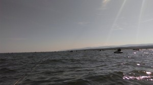 IMAG0724_1180x662.jpg