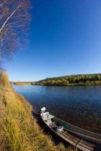 IMG_79658989.jpg