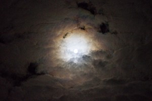 IMG_8174.jpg
