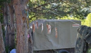 DSC_0404.JPG