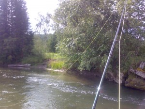050720151593.2.jpg