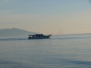 P1050001.jpg