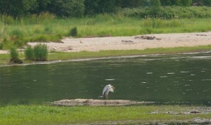 P1050006.jpg