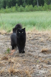 IMG_1064.JPG