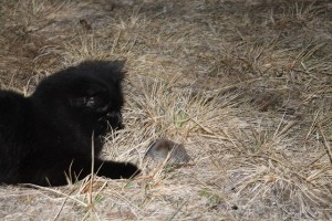 IMG_1263.JPG