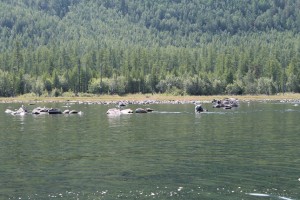 IMG_1128.JPG