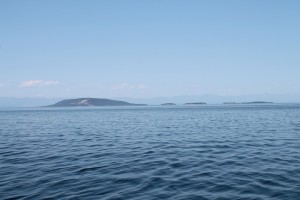 IMG_1141.JPG