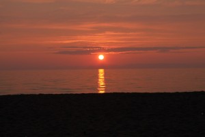 IMG_1314.JPG