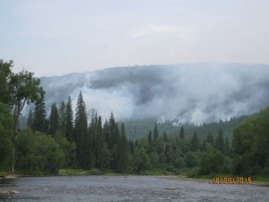 IMG_6969.jpg
