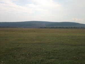 IMG_2995.jpg