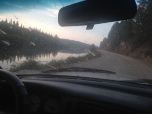 IMG_3004.jpg