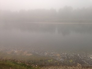 IMG_3008.jpg