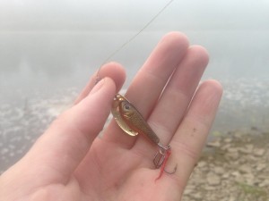 IMG_3012.jpg