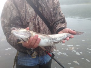 IMG_3024.jpg