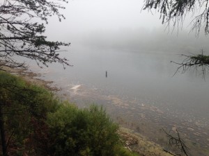 IMG_3017.jpg